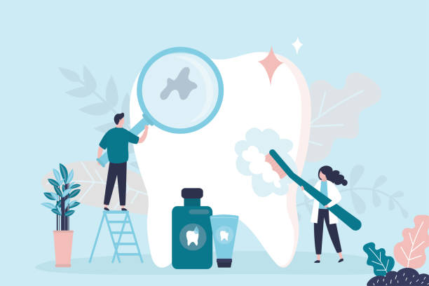 Best Pediatric Dentistry  in Feather Sound, FL